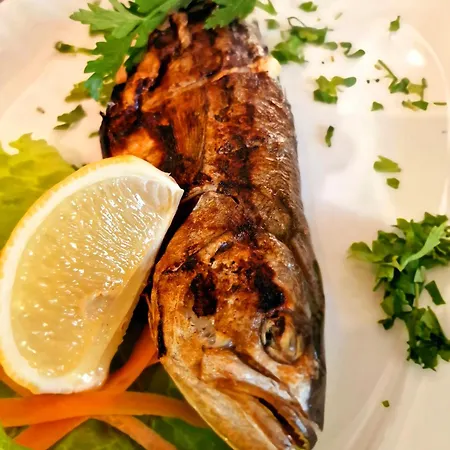 فور سيزونس العائلي