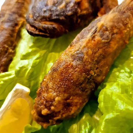 فور سيزونس العائلي فندق 2*