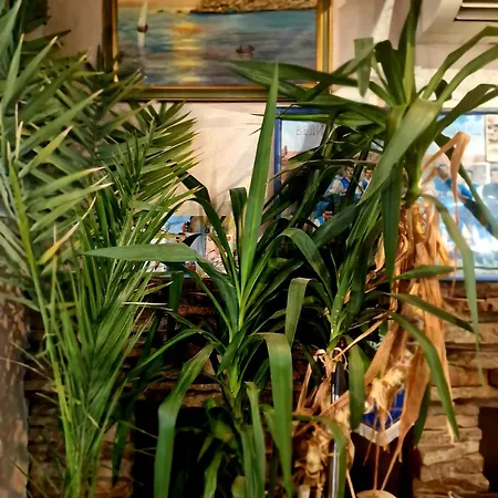 Family Four Seasons Hotel Zarewo
